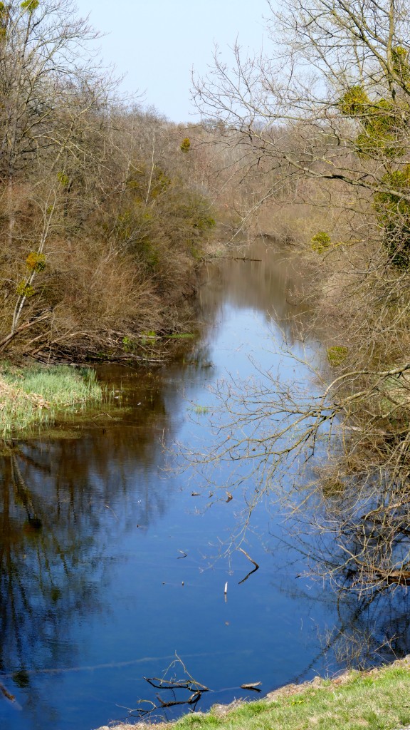 The Danube wetlands Los esteros del Danubio