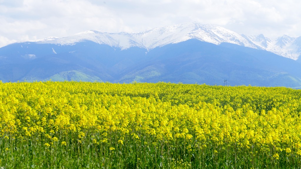 The Faragas Mountains