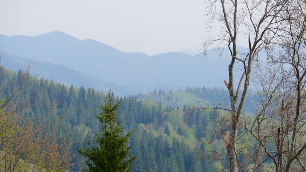 Parcui Natural Putna Vrancea