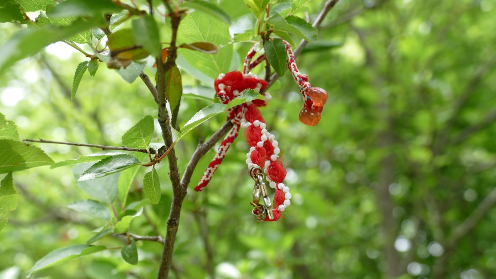 Martenitsi tied to a blossoming tree, a symbol of approaching spring