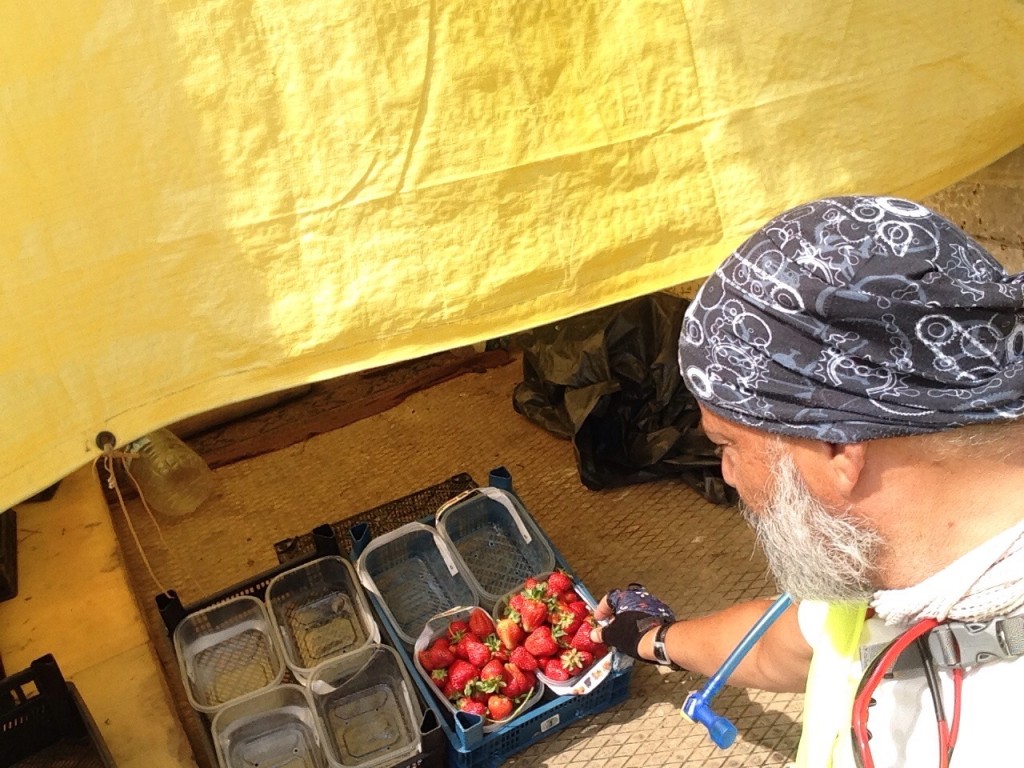 I had to choose a fresh strawberry basket. 