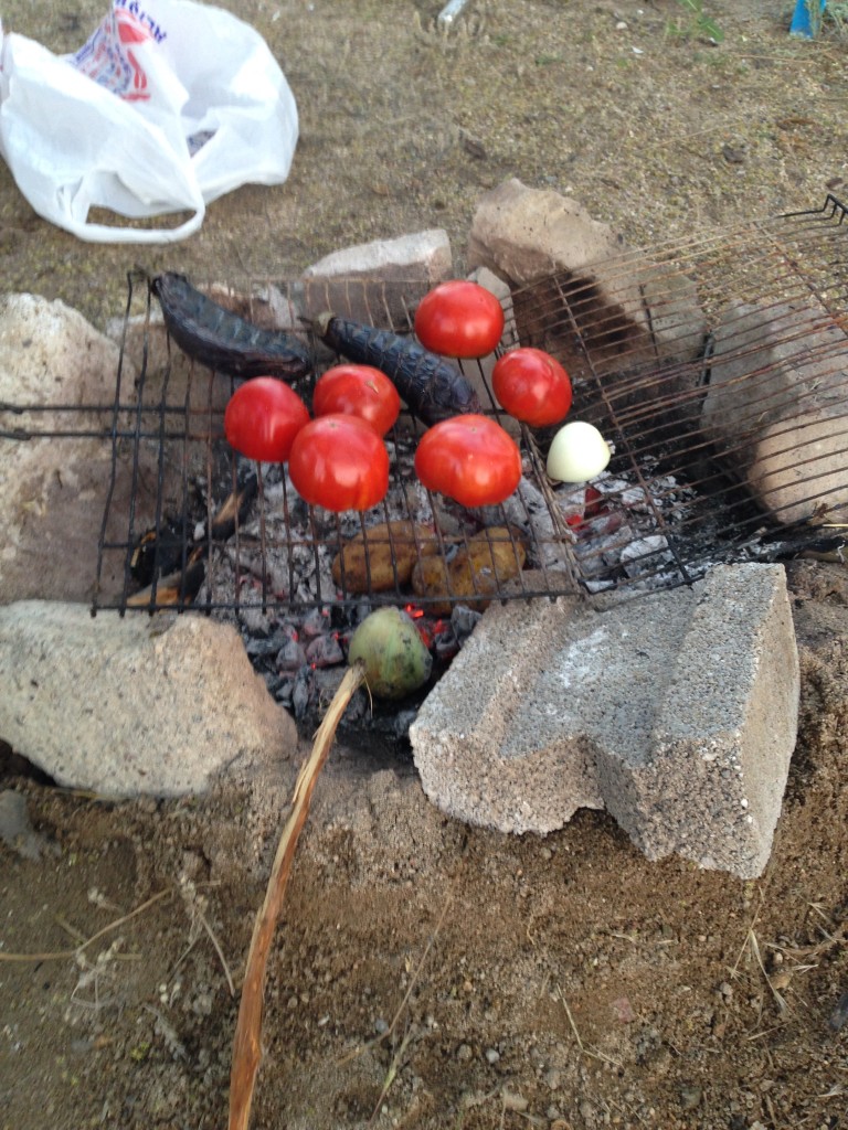 Vegetarian Barbecuing at Göreme Camping