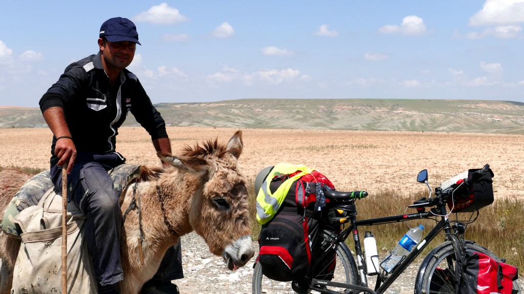 Sehit, the shepherd riding his donkey. 