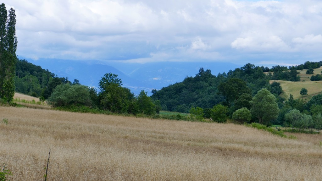 The Canik Mountains are to the north, Dönek Mountain to the south, and the Niksar Lowland is situated between these mountains. The Niksar Lowland is one of the most important lowlands of the Black Sea Region.