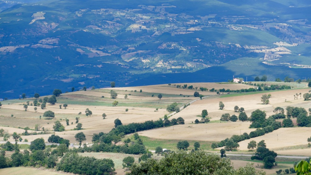 Niksar lands are irrigated by large and small tributaries of the Kelkit River. Forests cover 53% of the plateau, and pasture 12%; 32% of the land is devoted to agriculture, and only 3% is unsuitable for farming