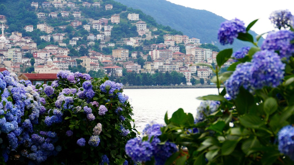 Ordu, the 200.000 people city on the Black Sea coast.