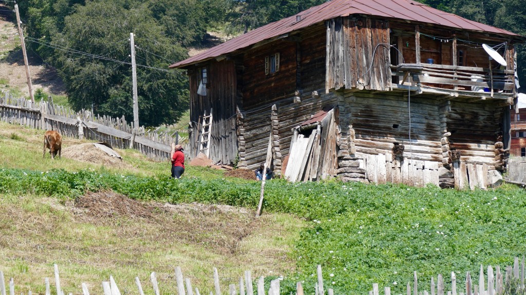 Farmers House on the East side of the Goderdzi Pass