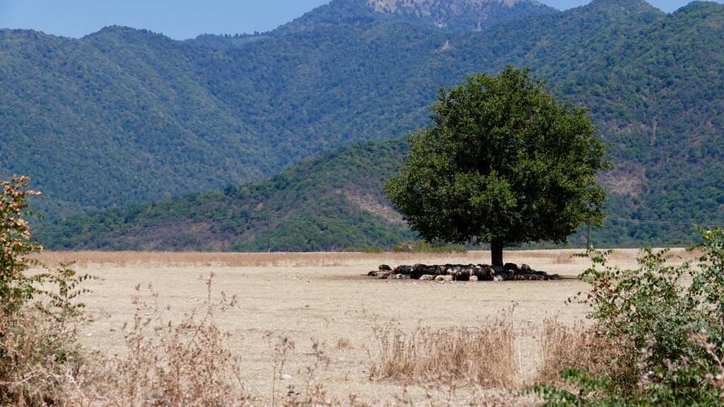 Where the Caucasus ends, it begins the steppe.