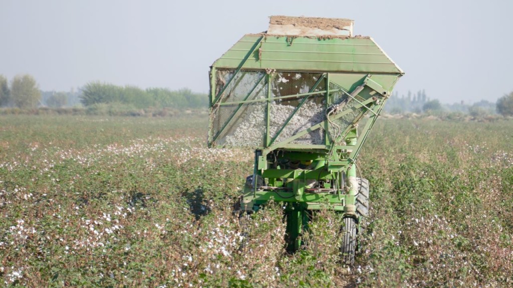 The cotton harvest machine. An exception nowadays. 